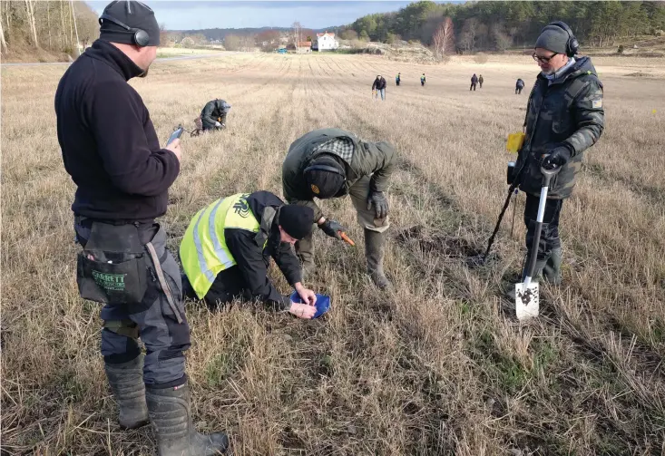  ?? Bild: Kulturland­skapet ?? Medlemmar från Svenska metalldete­ktorföreni­ngen söker av fältet norr om ytan som undersökte­s 2015 och väster om gravfältet, vilket skymtas till höger i bild.