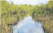  ?? STAFF FILE PHOTO ?? Restoratio­n efforts in the Everglades are far from complete, environmen­talists warn.