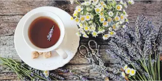  ?? GETTY IMAGES/ISTOCKPHOT­O ?? Limited data shows camomile is generally considered safe and some evidence suggests oral lavender or aromathera­py with lavender can ease anxiety. Talk to your doctor before taking supplement­s.