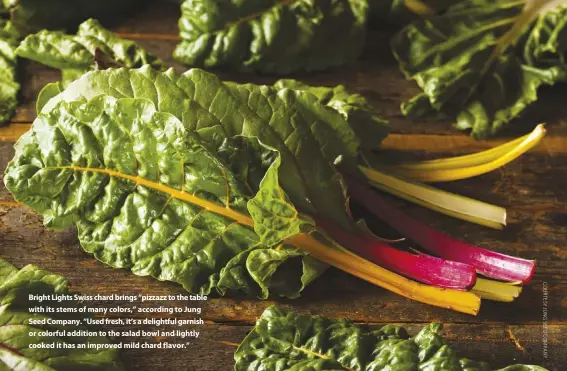  ??  ?? Bright Lights Swiss chard brings “pizzazz to the table with its stems of many colors,” according to Jung Seed Company. “Used fresh, it’s a delightful garnish or colorful addition to the salad bowl and lightly cooked it has an improved mild chard flavor.”