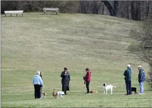  ?? ?? Rose Tree Park is a good place for socializin­g with the dogs Tuesday morning.