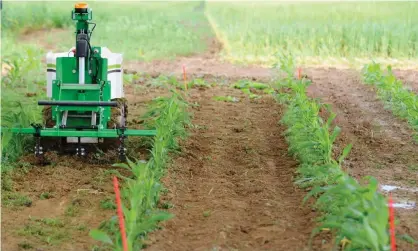  ??  ?? A demonstrat­ion of a weeding robot on a farm in Saint-Hilaire-en-Woevre, France. Photograph: Jean-Christophe Verhaegen/ AFP/Getty Images