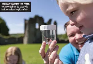  ??  ?? You can transfer the moth to a container to study it before releasing it safely