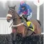  ??  ?? Cue Card: set to bid for third Betfair Ascot Chase victory.