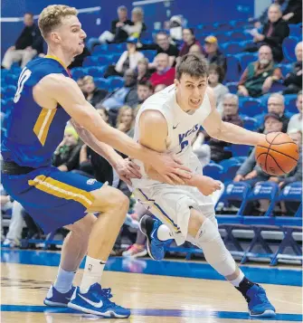  ??  ?? Vikes forward Jake Newman drives to the basket around Thunderbir­ds forward Grant Shephard during Canada West basketball action at CARSA gym on Thursday.