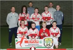  ??  ?? Scoil Naomh Brid, Knockanann­a, who qualified for the Lainster finals.