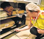  ??  ?? FINE-TOOTH COMB: Heidi Marais, from the department of environmen­tal health, carries out an inspection