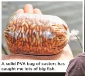  ??  ?? A solid PVA bag of casters has caught me lots of big fish.