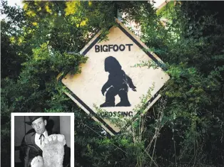  ?? Max Whittaker / Special to The Chronicle ?? Above: A “Bigfoot crossing” sign in Willow Creek. Left: Roger Patterson with the cast of a footprint, purported to be Bigfoot, found near Eureka, 1967.