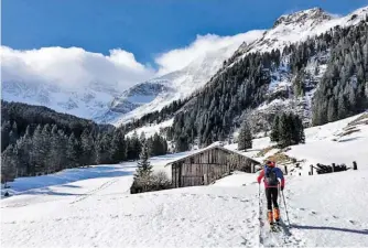  ?? BILD: SN/LMZ/BAUER ?? Nur wenn der Schutzwald intakt ist, bietet er einen wirksamen Schutz vor Lawinen.