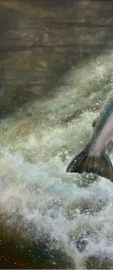  ??  ?? Above, right: Salmon over the falls – the artist finds the salmon beautiful and tries to capture its glory