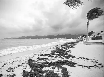  ??  ?? A view of the Baie Nettle beach in Marigot, with the wind blowing ahead of the arrival of Hurricane Irma. — AFP photo