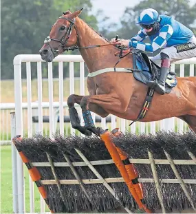  ?? Picture: Grossick Racing Photograph­y. ?? Clever As A Fox, ridden by Sam Twiston-Davies, justified his favourite tag.