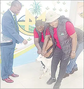  ?? ?? Minister Maphalala being presented with a goat.