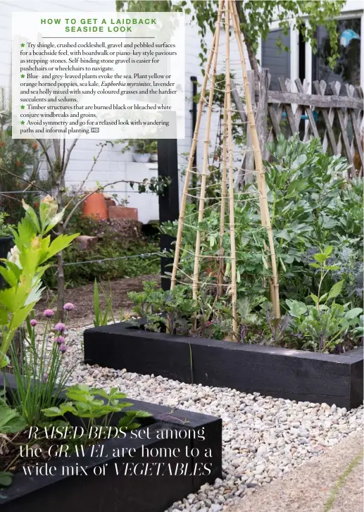  ??  ?? RAISED BEDS set among the GRAVEL are home to a wide mix of VEGETABLES