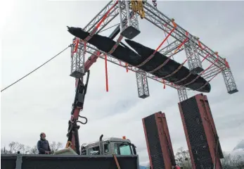  ?? FOTO: HIN ?? Am 12. April 2018 wurde der Wasserburg­er Einbaum der Öffentlich­keit vorgestell­t. Mittlerwei­le ist er aufwändig von Hand und ausschließ­lich mit klarem Wasser gereinigt worden.