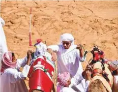  ?? Virendra Saklani/Gulf News ?? A trainer adjusts the straps on a ‘robot’ jockey to a camel in preparatio­n for a race at Al Marmoum Heritage Festival.