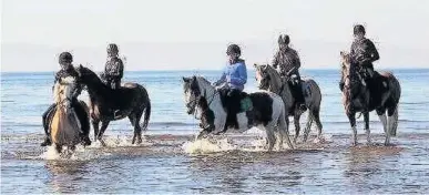  ??  ?? Beach trek The riders head out to the water for a lesson