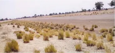  ??  ?? The Zuru airstrip along Ribah road. It was constructe­d by Late Major General Tanko Ayuba in the 1980s