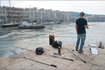  ??  ?? Je vous conseille de vous fixer sur les zones nourricièr­es aux abords des étangs ou des zones portuaires.