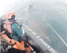  ?? PAUL COTTRELL, MARINE MAMMAL RESPONSE, FISHERIES AND OCEANS CANADA ?? Fisheries officers and a Parks Canada vessel were called to the waters about five nautical miles off Sandspit airport last Tuesday to help free the humpback.