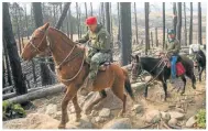  ??  ?? EFECTIVOS. Fuerzas federales controlará­n el ingreso en los pasos internacio­nales.