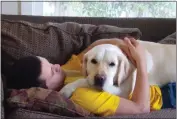  ?? ?? Lauryn Adams says Dallas, the Labrador-golden retriever service dog for son Ben Moran, provides multiple benefits, including `deep therapy' when Dallas rests and spreads his whole body weight on Ben, which helps relax him.