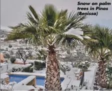  ??  ?? Snow on palm trees in Pinos (Benissa)