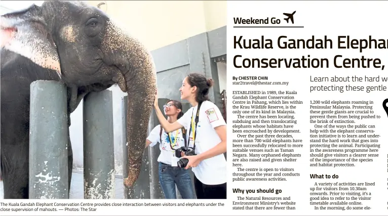  ?? — Photos: The Star ?? The Kuala Gandah Elephant Conservati­on Centre provides close interactio­n between visitors and elephants under the close supervisio­n of mahouts.