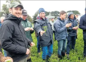  ?? ?? IMPRESSED: Perennial Pasture Systems members are already using data from a soil moisture probes and weather stations project with Crowlands, Warrak and Winjallok Landcare groups.