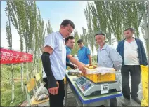  ?? PROVIDED TO CHINA DAILY ?? Employees of Kashgar Jiangguogu­o Agricultur­al Technology Co purchase dates from farmers at a village in Kashgar, Xinjiang Uygur autonomous region, in September.