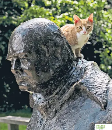  ??  ?? FELINE SPIRIT Jock VII on a Churchill statue; with Viktoria Austen, below