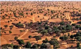  ?? Photograph: Courtesy of Martin Brandt ?? Aerial view of trees in Sahel: ‘Where no one would expect to find many trees, there were quite a few hundred million.’
