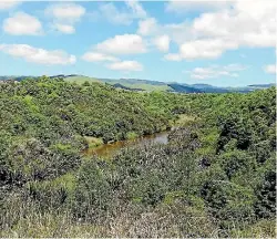  ?? PHOTOS: SUPPLIED ?? The Mangaotane Reserve on the outskirts of Palmerston North in 2015 showing the results of native planting by the Green Corridors group.