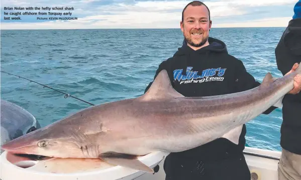 ?? Picture: KEVIN McLOUGHLIN ?? Brian Nolan with the hefty school shark he caught offshore from Torquay early last week.