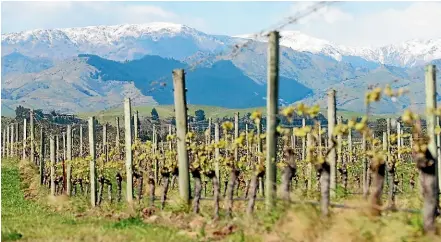  ?? SCOTT HAMMOND/STUFF ?? It is likely there will be fewer frosts in Marlboroug­h as a result of climate change, a new report has found.