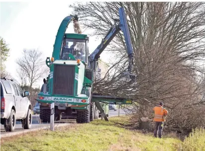  ?? RP-FOTO: ACHIM BLAZY ?? Der Landesbetr­ieb Straßen. NRW ist weiter unterwegs. Die gefällten Bäume auf der Brachter Straße werden zerkleiner­t.