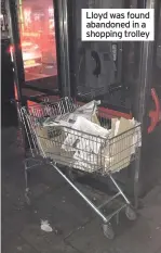 ??  ?? Lloyd was found abandoned in a shopping trolley