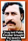  ?? ?? Drug lord Pablo
Escobar brought the beasts to Colombia