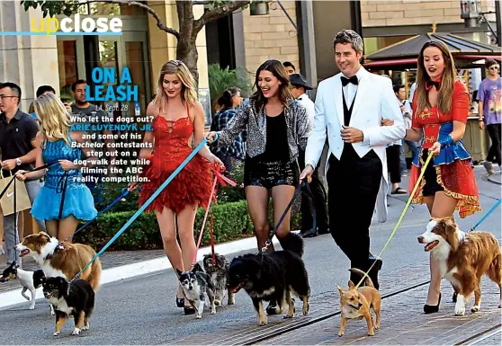  ??  ?? ON A LEASH LA, Sept. 28 Who let the dogs out? ARIE LUYENDYK JR. and some of his Bachelor contestant­s step out on a dog-walk date while filming the ABC reality competitio­n.