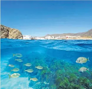  ??  ?? La Isleta del Moro. Uno de los destinos preferidos por los visitantes para descubrir la naturaleza en su estado más puro.