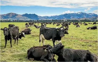  ??  ?? Once prone to drought, Amuri Basin in North Canterbury is now lush, green dairy-farming country.