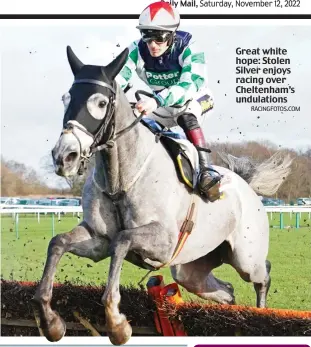  ?? RACINGFOTO­S.COM ?? Great white hope: Stolen Silver enjoys racing over Cheltenham’s undulation­s