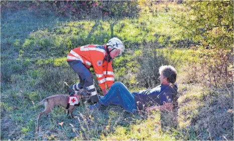  ?? FOTOS: MANDY STREICH ?? Die Hundestaff­el wird oft als letzte Möglichkei­t genutzt, um Überlebend­e zu bergen.