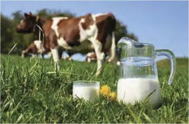  ?? ?? Dairy farmers also rely heavily on refrigerat­ion.
