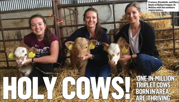  ??  ?? Frances, Elizabeth, and Mary Doyle of Ballycrine­gan, St Mullins with the newborn triplet heifers.