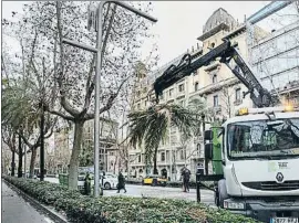  ?? ANA JIMÉNEZ ?? Retirada de una palmera que cayó sobre el carril bici de la Diagonal