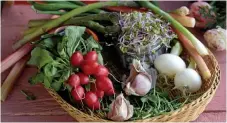  ?? Bild: JANERIK HENRIKSSON/TT ?? EKOLOGISKT. Insändarsk­ribenten vill se ett större utbud av ekologiska grönsaker i Uddevalla.