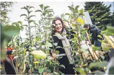  ?? RP-FOTO: ANDREAS BRETZ ?? Gründezern­entin Helga Stulgies wirbt für die Aktion der Stadt „Jeder Baum zählt.“