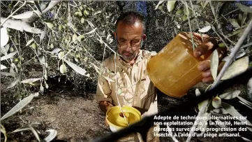  ??  ?? Adepte de techniques alternativ­es sur son exploitati­on bio, à la Trinité, Henri Derepas surveille la progressio­n des insectes à l’aide d’un piège artisanal.